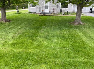 Cory W.'s Lawn Care service result