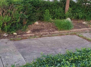Weeding by Gregory Traylor for Ilona G. in Cleveland, OH