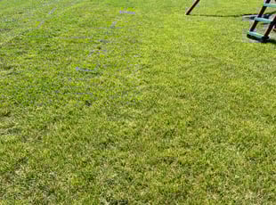 Brian O.'s Lawn Mowing service result