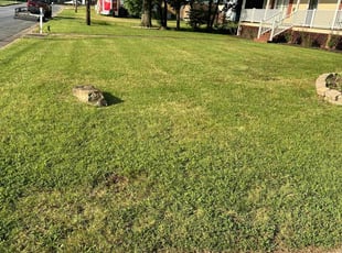 Rachel M.'s Lawn Maintenance service result