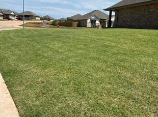 Sonya G.'s Lawn Care service result