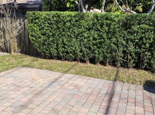 Bush Trimming by Archie Goolsby for Kimberli N. in Miami, FL