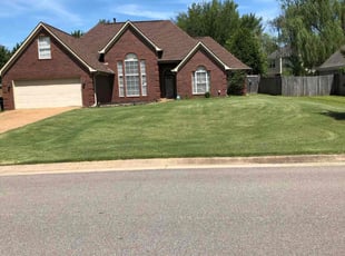 Carey V.'s Lawn Mowing service result