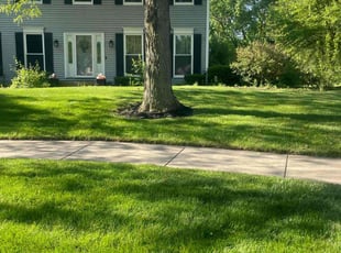 Yvonne S.'s Lawn Care service result