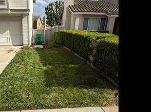 Bush Trimming by Omar Meza for Stephanie S. in Riverside, CA