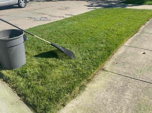 Ellen U.'s Yard Cutting service result