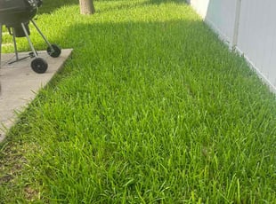 Elizabeth K.'s Yard Cutting service result