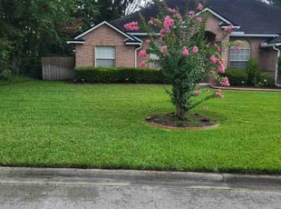 Esther C.'s Lawn Care service result