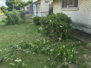 Bush Trimming by Kewon Andrews for Rashida M. in Memphis, TN