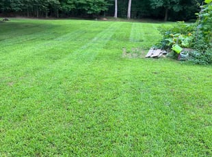 Jesus S.'s Lawn Care service result