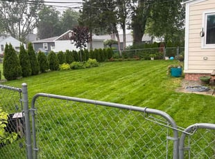 Cleanups by Kyle Yacko for Brenda E. in St. Clair Shores, MI