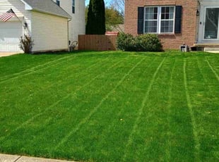 Martin H.'s Yard Cutting service result