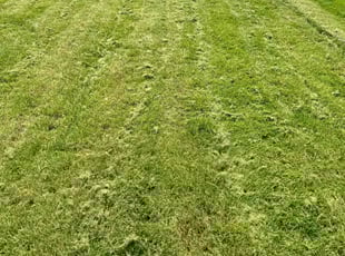 Chris Q.'s Yard Cutting service result