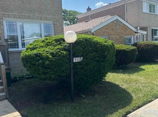 Bush Trimming by Mike Brooks for Patricia S. in Chicago, IL