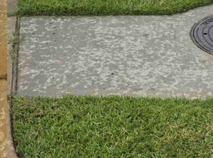 OLUKEMI O.'s Grass Cutting service result