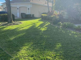 Linda F.'s Lawn Mowing Service service result