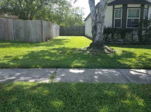 Beverly W.'s Grass Cutting service result