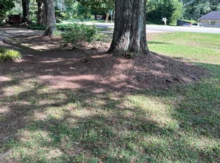 Leaf Removal by Jason Hembree for Cedric B. in Douglasville, GA
