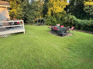 Toni B.'s Lawn Service service result