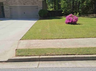 Nathalie P.'s Lawn Service service result