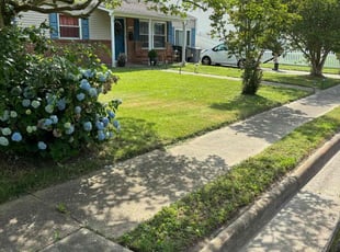 Sean L.'s Lawn Care service result