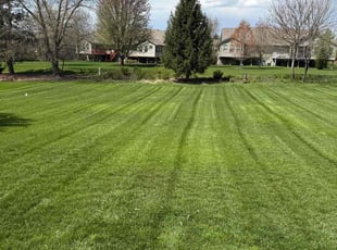JJoel B.'s Lawn Mowing Service service result