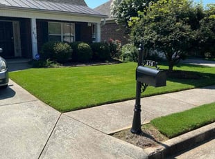 Jerome L.'s Yard Cutting service result