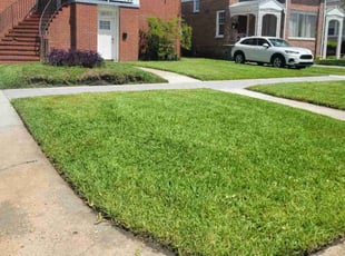 Judy B.'s Lawn Service service result