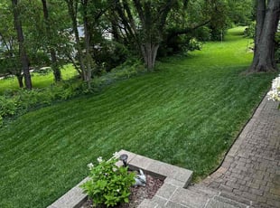 Maggie P.'s Yard Cutting service result