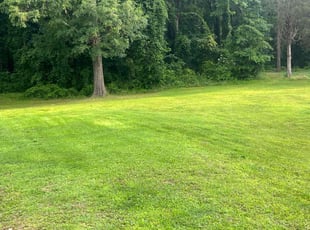 Mary C.'s Lawn Mowing service result