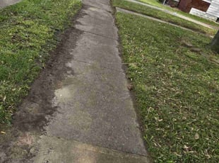 Melisa B.'s Lawn Mowing service result