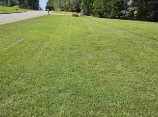 Etta P.'s Grass Cutting service result