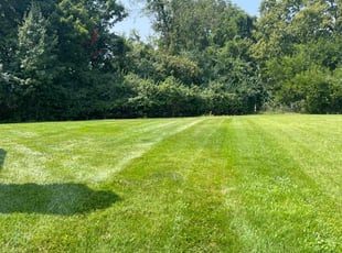 Zack m.'s Lawn Mowing service result