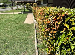 Jagjeet C.'s Lawn Maintenance service result