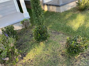Bush Trimming by Jose Villa for Brandon G. in Nashville, TN