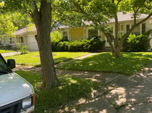 Justine S.'s Yard Cutting service result