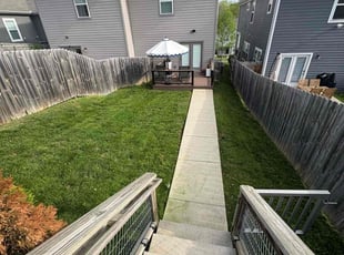 Mario P.'s Lawn Service service result
