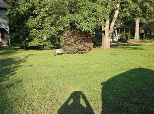 Linda B.'s Lawn Service service result