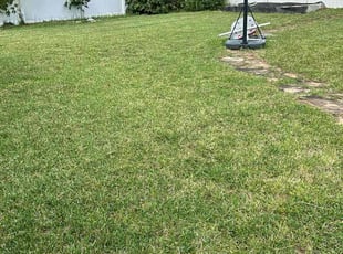 Bryan P.'s Lawn Care service result