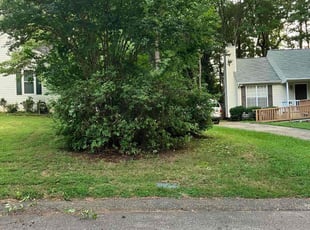 Bush Trimming by Nicholas Armstrong for Joseph R. in Holly Springs, NC