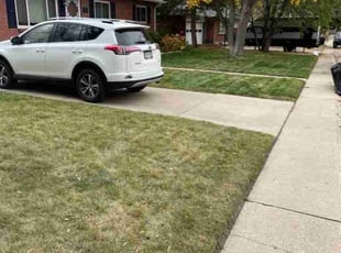 Leaf Removal by Christopher Coleman for Brianna R. in Arvada, CO
