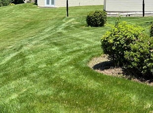 Marcus R.'s Lawn Mowing service result
