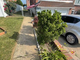 Bush Trimming by Darren Burch for James B. in Philadelphia, PA