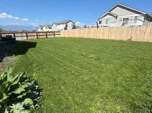Mike B.'s Lawn Service service result