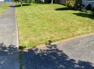 Bryan V.'s Lawn Service service result