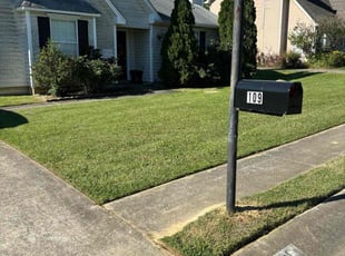 Scott E.'s Lawn Mowing service result