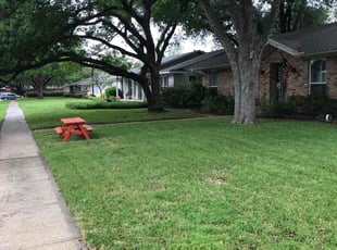 JOANNA B.'s Lawn Service service result