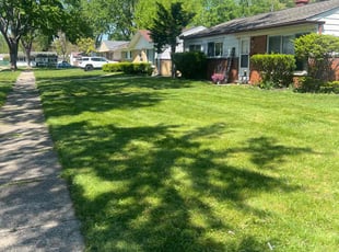 Aurora B.'s Grass Cutting service result