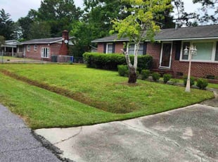 Mark S.'s Lawn Care service result