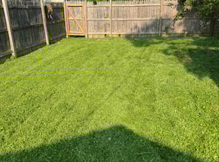 Cindy Q.'s Lawn Maintenance service result